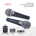 MR 6.5mm Microphone | Wired Handheld Mic | Beta Style Mic | Clear Voice | Speaker, Amplifier Compatible